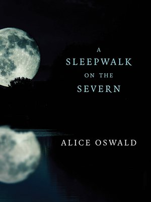 cover image of A Sleepwalk on the Severn